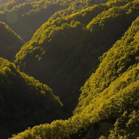 Wild Valley Refugium In Valle Onsernone * Mosogno